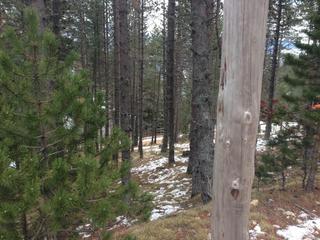 Wohngrundstück  N/a. Terreno urbano en venta, en el port del compte - solsonès Wohngrundstück  N/a. Terreno urbano en venta, en el port del compte - solsonès