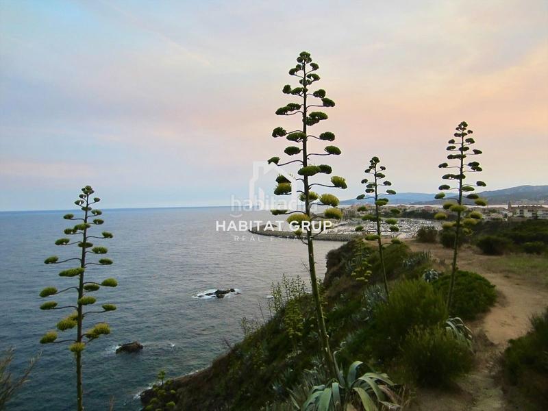 Foto 00cb253c-659a-449f-b2b6-ce8bec5f87f0. Casa in La Fosca - Cala Margarida Palamós Foto 00cb253c-659a-449f-b2b6-ce8bec5f87f0. Casa in La Fosca - Cala Margarida Palamós