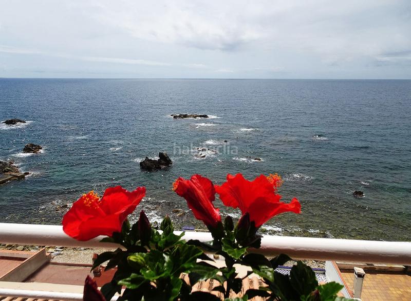 Foto 2b1dfc27-31a5-4f25-89a0-f4efb14db12c. Casa in La Fosca - Cala Margarida Palamós Foto 2b1dfc27-31a5-4f25-89a0-f4efb14db12c. Casa in La Fosca - Cala Margarida Palamós