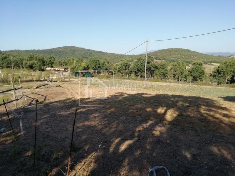 Foto a490592e-70a8-4cce-86ca-c4a89edf40ac. Casa en Mas Altaba - El Molí Maçanet de la Selva Foto a490592e-70a8-4cce-86ca-c4a89edf40ac. Casa en Mas Altaba - El Molí Maçanet de la Selva