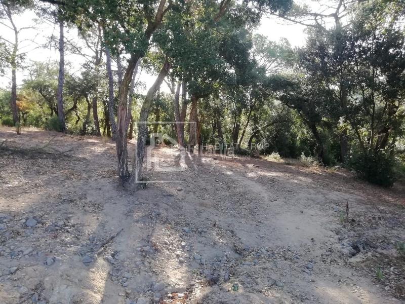 Foto a740cb36-1f80-4d6d-90ca-4b87d0eb8eda. Maison dans Mas Altaba - El Molí Maçanet de la Selva Foto a740cb36-1f80-4d6d-90ca-4b87d0eb8eda. Maison dans Mas Altaba - El Molí Maçanet de la Selva