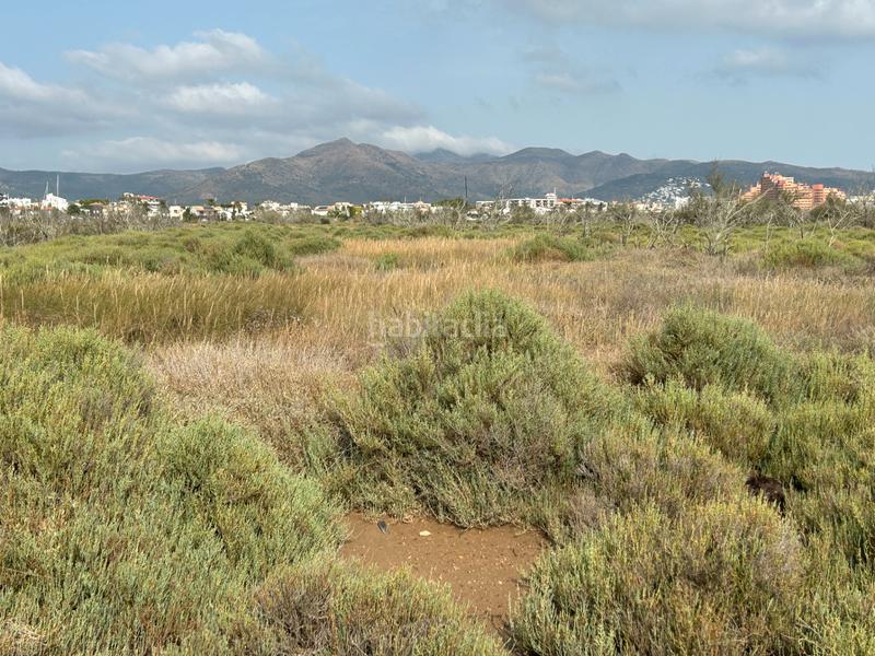 Foto 05ac6c1c-c1f8-4f64-82fc-b79bb44f6f0b. Finca rústica en n/a en Castelló d´Empúries Foto 05ac6c1c-c1f8-4f64-82fc-b79bb44f6f0b. Finca rústica en n/a en Castelló d´Empúries