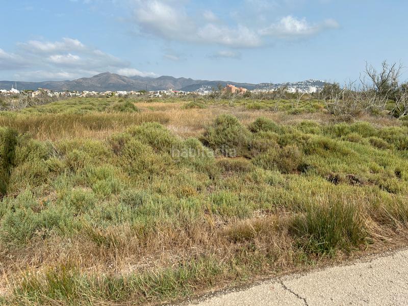 Foto 46f93130-d3b0-4350-b886-9ad6730b8868. Finca rústica en n/a en Castelló d´Empúries Foto 46f93130-d3b0-4350-b886-9ad6730b8868. Finca rústica en n/a en Castelló d´Empúries