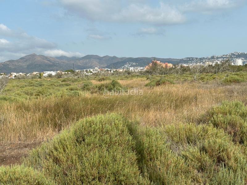 Foto d8a48ff2-9454-4d71-b67a-6625d248c9bf. Finca rústica en n/a en Castelló d´Empúries Foto d8a48ff2-9454-4d71-b67a-6625d248c9bf. Finca rústica en n/a en Castelló d´Empúries