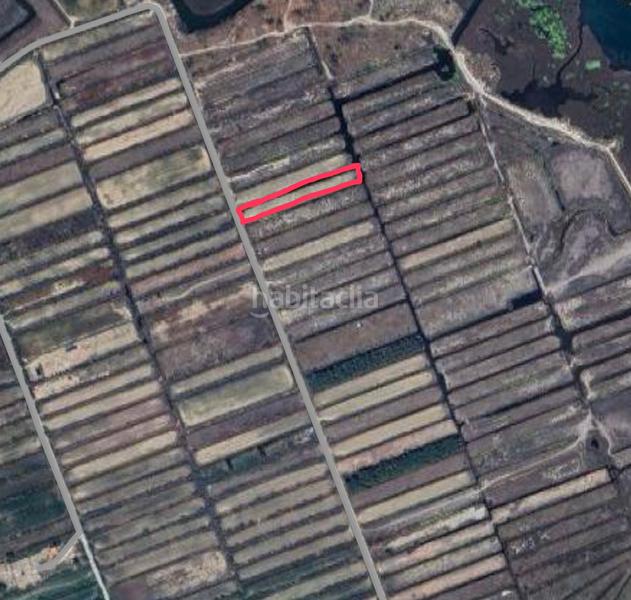 Foto 22fc4797-60e2-4945-b483-c9d81cefb7be. Finca rústica en n/a en Castelló d´Empúries Foto 22fc4797-60e2-4945-b483-c9d81cefb7be. Finca rústica en n/a en Castelló d´Empúries