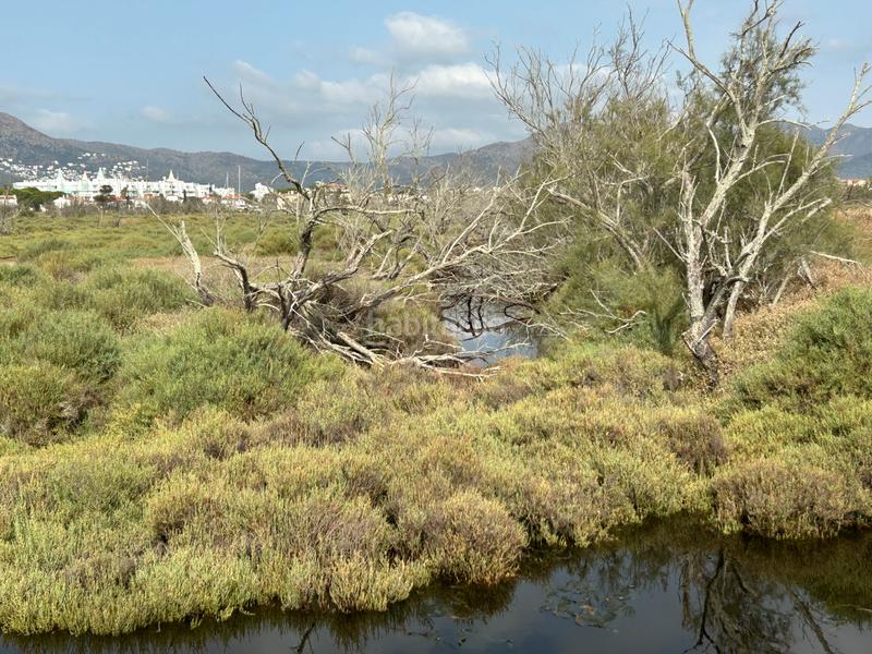 Foto 44ff64df-5fe5-4709-9496-307faac5d7ce. Finca rústica en n/a en Castelló d´Empúries Foto 44ff64df-5fe5-4709-9496-307faac5d7ce. Finca rústica en n/a en Castelló d´Empúries