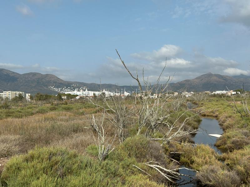 Foto 4a1ea458-ef64-4396-b9f4-1aa95ebc5ce4. Finca rústica en n/a en Castelló d´Empúries Foto 4a1ea458-ef64-4396-b9f4-1aa95ebc5ce4. Finca rústica en n/a en Castelló d´Empúries