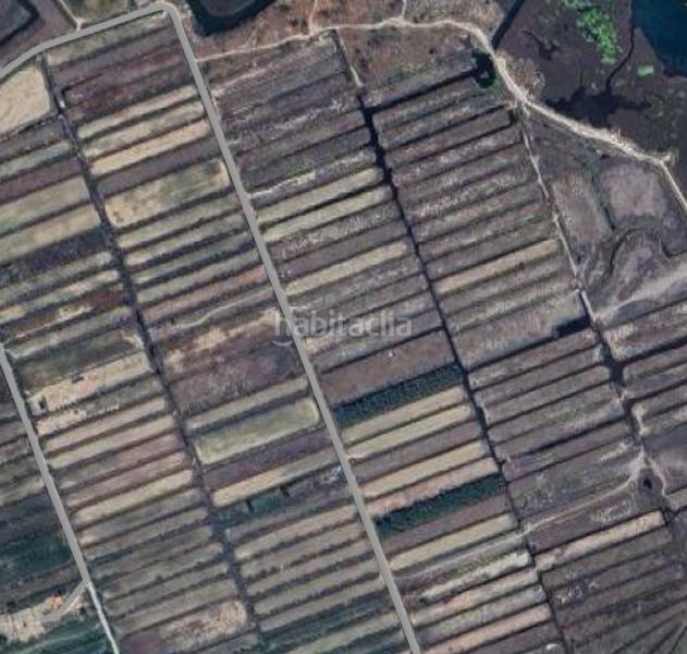 Foto 87920e5f-18bc-4519-919a-835ab219ad0a. Finca rústica en n/a en Castelló d´Empúries Foto 87920e5f-18bc-4519-919a-835ab219ad0a. Finca rústica en n/a en Castelló d´Empúries