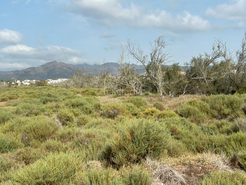 Foto c08c12e5-3ed7-4833-ae5a-4bdadd4a2d79. Finca rústica en n/a en Castelló d´Empúries Foto c08c12e5-3ed7-4833-ae5a-4bdadd4a2d79. Finca rústica en n/a en Castelló d´Empúries