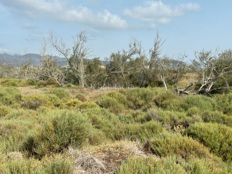 Foto c577935c-2f04-4aff-8ed4-19c6cab9f169. Finca rústica en n/a en Castelló d´Empúries Foto c577935c-2f04-4aff-8ed4-19c6cab9f169. Finca rústica en n/a en Castelló d´Empúries