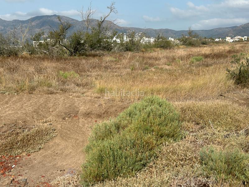 Foto f8d22dc0-4198-45ea-973e-c8b2ab7523e2. Finca rústica en n/a en Castelló d´Empúries Foto f8d22dc0-4198-45ea-973e-c8b2ab7523e2. Finca rústica en n/a en Castelló d´Empúries