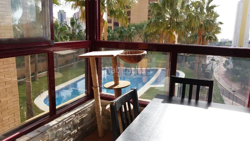 Foto a2b1e387-69a7-4a7f-bca0-cdcb83d7e2b5. Appartement mit parking pool in Via Parque Benidorm Foto a2b1e387-69a7-4a7f-bca0-cdcb83d7e2b5. Appartement mit parking pool in Via Parque Benidorm