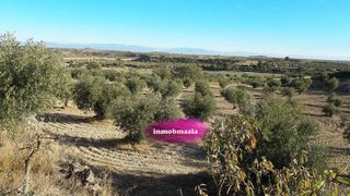 Finca rústica en Carrer major, 6. Terreno agrario en venta en la floresta (lleida) Finca rústica en Carrer major, 6. Terreno agrario en venta en la floresta (lleida)