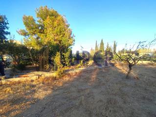 Terrain résidentiel à Sol y Luz. Parcela en san vicente zona sol y luz Terrain résidentiel à Sol y Luz. Parcela en san vicente zona sol y luz