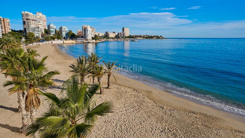 Foto 48087d01-9678-4f98-a5da-fe690381f9bf. Édifice dans Benalúa Alicante Foto 48087d01-9678-4f98-a5da-fe690381f9bf. Édifice dans Benalúa Alicante