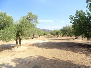 Finca rústica  19. Finca rústica en venta en aldover con agua Finca rústica  19. Finca rústica en venta en aldover con agua