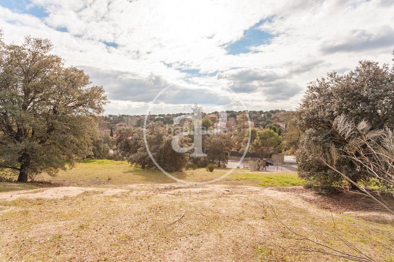 Foto 184ea518-f5bb-4bfe-a28a-e46071211d6d. Terreny residencial a El Bosque Villaviciosa de Odón Foto 184ea518-f5bb-4bfe-a28a-e46071211d6d. Terreny residencial a El Bosque Villaviciosa de Odón