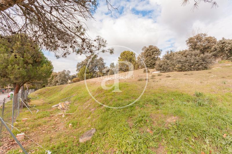 Foto 526a3448-8054-41eb-bca6-50fb16ad9aa9. Terreny residencial a El Bosque Villaviciosa de Odón Foto 526a3448-8054-41eb-bca6-50fb16ad9aa9. Terreny residencial a El Bosque Villaviciosa de Odón