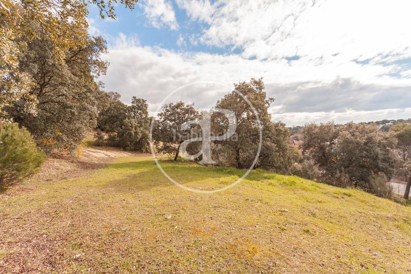 Foto be86a3fc-c905-44b9-abb1-6801af5f1f8c. Terreny residencial a El Bosque Villaviciosa de Odón Foto be86a3fc-c905-44b9-abb1-6801af5f1f8c. Terreny residencial a El Bosque Villaviciosa de Odón
