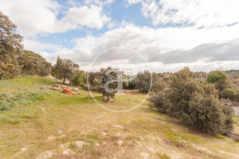 Foto 1125b17b-6b9d-4c85-b84c-b3564c604cce. Terreno residenziale in El Bosque Villaviciosa de Odón Foto 1125b17b-6b9d-4c85-b84c-b3564c604cce. Terreno residenziale in El Bosque Villaviciosa de Odón