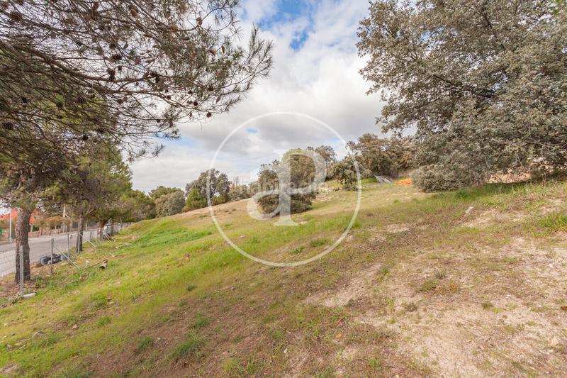 Foto 151356b8-186f-4dae-be52-fcedfe9a8327. Terreno residenziale in El Bosque Villaviciosa de Odón Foto 151356b8-186f-4dae-be52-fcedfe9a8327. Terreno residenziale in El Bosque Villaviciosa de Odón