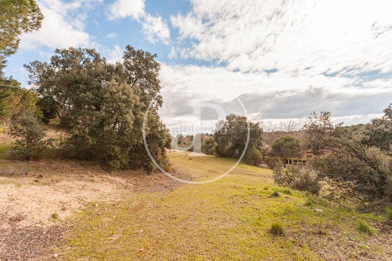 Foto 1f209db0-90f0-47f4-8b5b-2b5f51ef94ef. Terreno residenziale in El Bosque Villaviciosa de Odón Foto 1f209db0-90f0-47f4-8b5b-2b5f51ef94ef. Terreno residenziale in El Bosque Villaviciosa de Odón