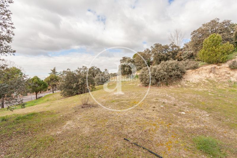 Foto 434fd0ab-4c0c-495a-9474-536e2594a99b. Terreno residenziale in El Bosque Villaviciosa de Odón Foto 434fd0ab-4c0c-495a-9474-536e2594a99b. Terreno residenziale in El Bosque Villaviciosa de Odón