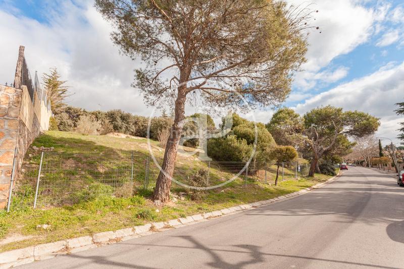 Foto 500d16d1-0f90-4759-87ad-60fc2614aa68. Terreno residenziale in El Bosque Villaviciosa de Odón Foto 500d16d1-0f90-4759-87ad-60fc2614aa68. Terreno residenziale in El Bosque Villaviciosa de Odón