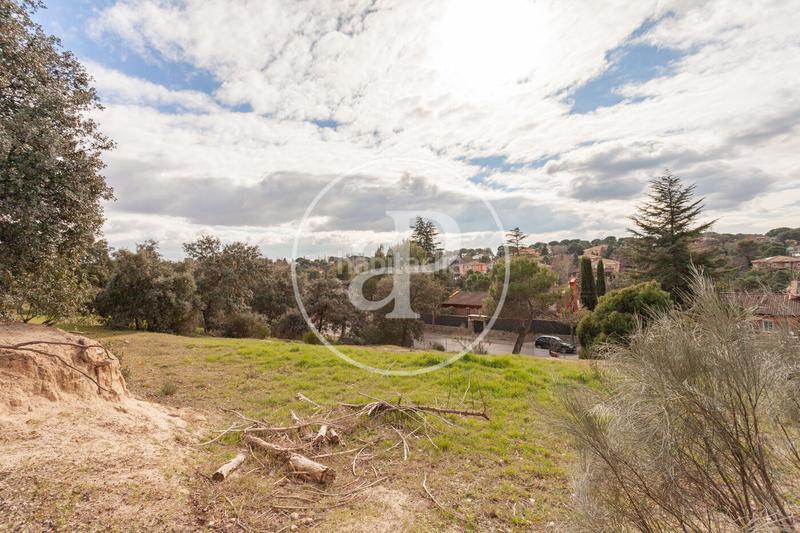 Foto 52813f0b-0975-453b-a89c-3cf35cf7cf28. Terreno residenziale in El Bosque Villaviciosa de Odón Foto 52813f0b-0975-453b-a89c-3cf35cf7cf28. Terreno residenziale in El Bosque Villaviciosa de Odón