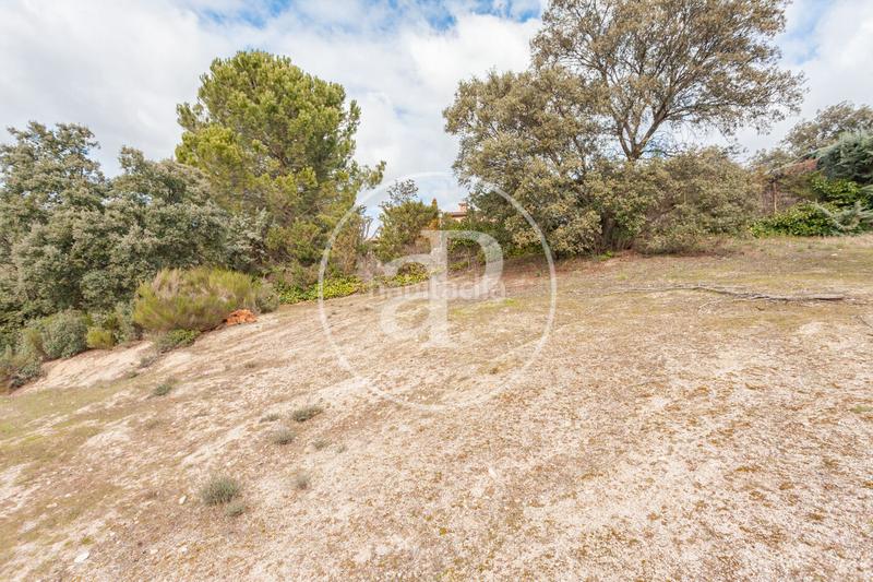 Foto 5490bff8-30f0-49e0-91af-ef34b6f2831a. Terreno residenziale in El Bosque Villaviciosa de Odón Foto 5490bff8-30f0-49e0-91af-ef34b6f2831a. Terreno residenziale in El Bosque Villaviciosa de Odón
