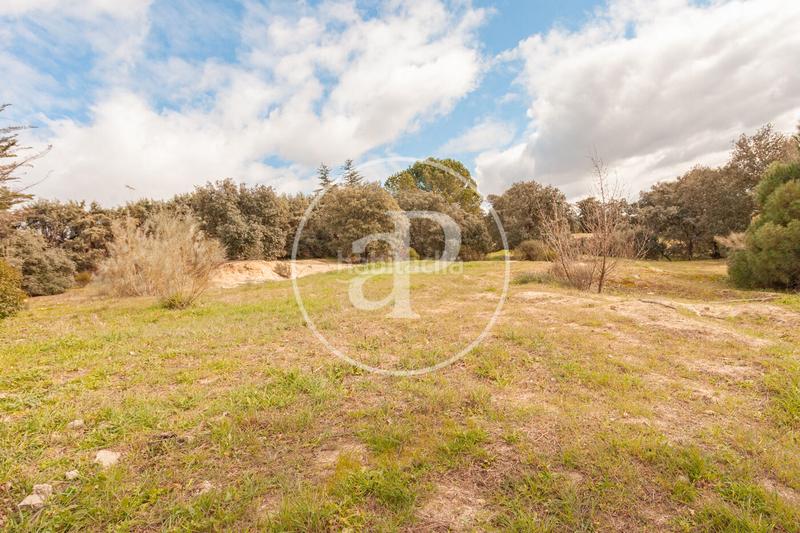 Foto 5a72df99-77d3-4b20-99af-e737cb7a500e. Terreno residenziale in El Bosque Villaviciosa de Odón Foto 5a72df99-77d3-4b20-99af-e737cb7a500e. Terreno residenziale in El Bosque Villaviciosa de Odón