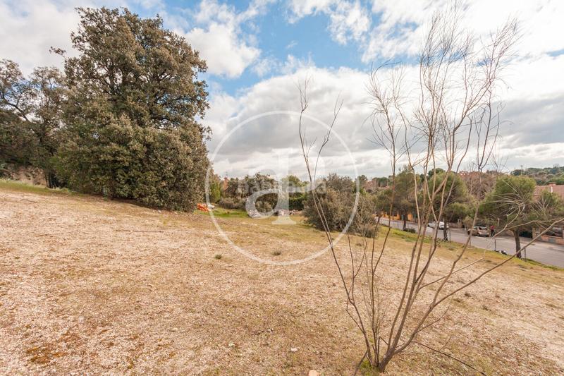 Foto 75b7d394-60ce-4fe3-b82c-6bffd9de205d. Terreno residenziale in El Bosque Villaviciosa de Odón Foto 75b7d394-60ce-4fe3-b82c-6bffd9de205d. Terreno residenziale in El Bosque Villaviciosa de Odón