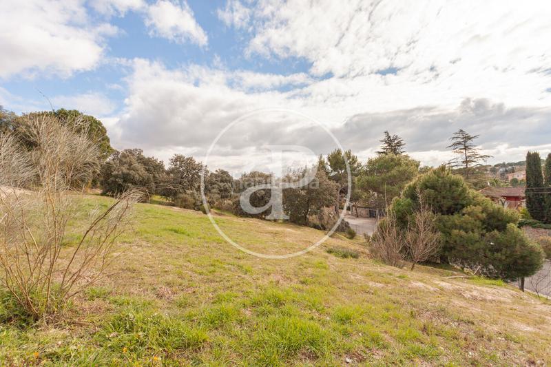 Foto 7ccdff6a-3567-45e4-bcd7-b8611a1464a8. Terreno residenziale in El Bosque Villaviciosa de Odón Foto 7ccdff6a-3567-45e4-bcd7-b8611a1464a8. Terreno residenziale in El Bosque Villaviciosa de Odón