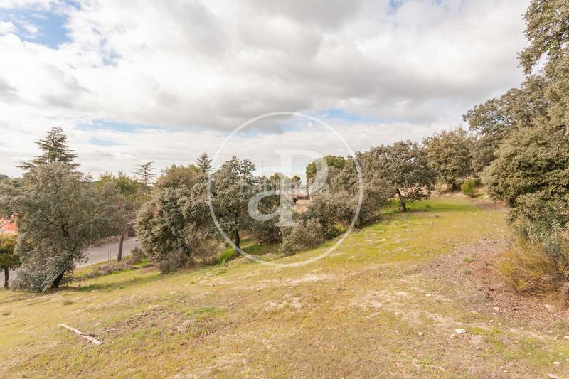 Foto 8da49a83-5888-4e7d-86dc-209617cd0182. Terreno residenziale in El Bosque Villaviciosa de Odón Foto 8da49a83-5888-4e7d-86dc-209617cd0182. Terreno residenziale in El Bosque Villaviciosa de Odón