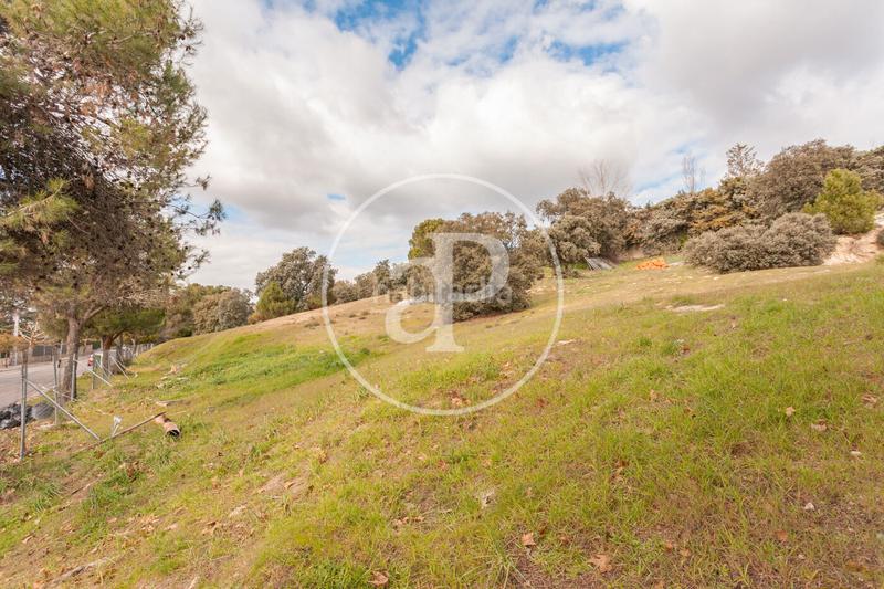 Foto ae1ea89f-1df2-4db5-aaf1-c805e4f008c3. Terreno residenziale in El Bosque Villaviciosa de Odón Foto ae1ea89f-1df2-4db5-aaf1-c805e4f008c3. Terreno residenziale in El Bosque Villaviciosa de Odón