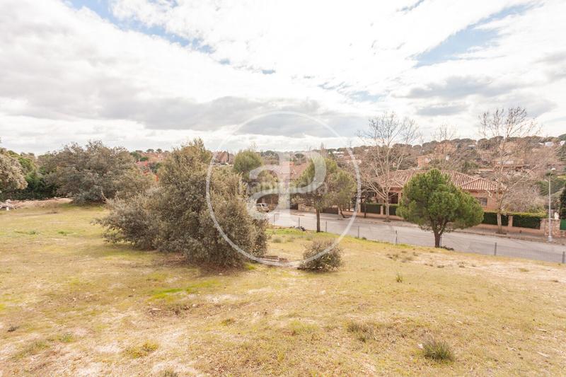 Foto b753572b-6ea2-4ead-8f14-df2a970af5dc. Terreno residenziale in El Bosque Villaviciosa de Odón Foto b753572b-6ea2-4ead-8f14-df2a970af5dc. Terreno residenziale in El Bosque Villaviciosa de Odón