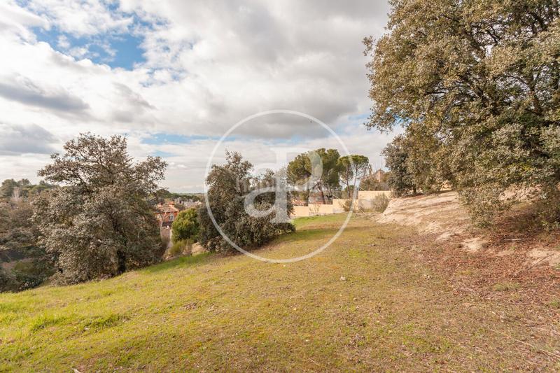 Foto cd50a921-6efb-4d1c-80d4-78b6fac3558d. Terreno residenziale in El Bosque Villaviciosa de Odón Foto cd50a921-6efb-4d1c-80d4-78b6fac3558d. Terreno residenziale in El Bosque Villaviciosa de Odón