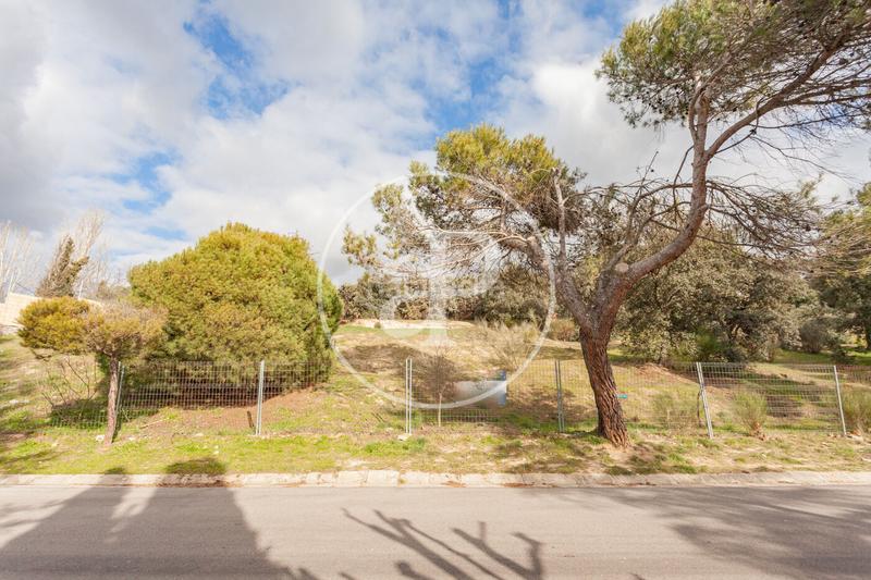 Foto cee2b5c5-fe0c-4878-96b8-c90aee08039c. Terreno residenziale in El Bosque Villaviciosa de Odón Foto cee2b5c5-fe0c-4878-96b8-c90aee08039c. Terreno residenziale in El Bosque Villaviciosa de Odón