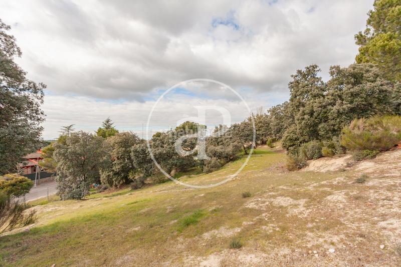 Foto f807aaab-0b10-4f71-8ef0-f4d5098cb44d. Terreno residenziale in El Bosque Villaviciosa de Odón Foto f807aaab-0b10-4f71-8ef0-f4d5098cb44d. Terreno residenziale in El Bosque Villaviciosa de Odón