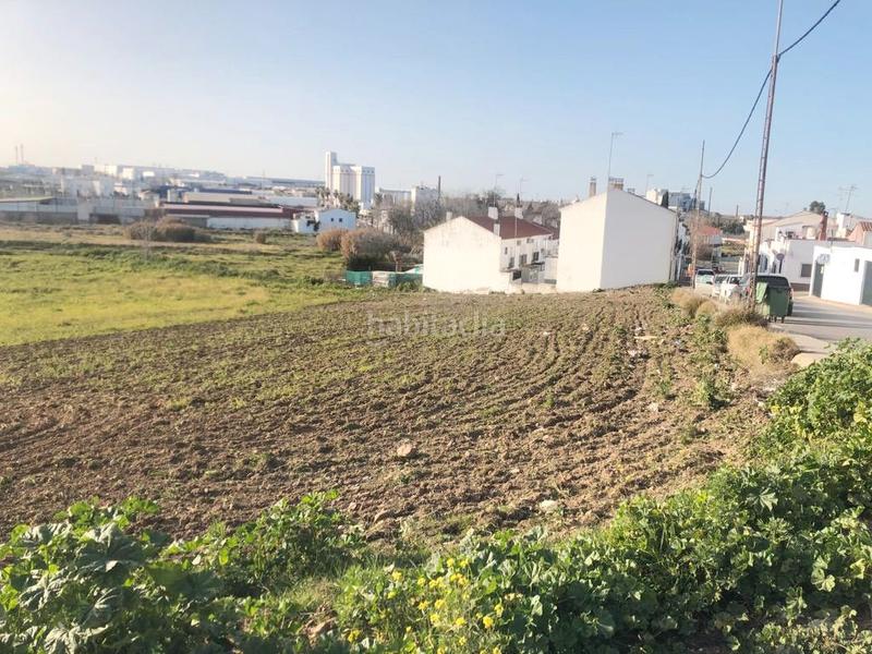Foto 78d7387b-64a8-4c45-8001-1c2581a50dbd. Terreny residencial a Villafranca de los Barros Foto 78d7387b-64a8-4c45-8001-1c2581a50dbd. Terreny residencial a Villafranca de los Barros