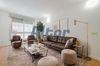 Pis  Del pico cebollera. En madrid Pis  Del pico cebollera. En madrid