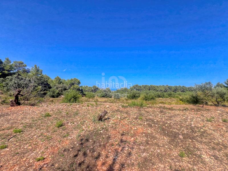 Foto 141ecbfa-095e-4422-bd92-5c805a87e259. Terreny residencial a Murla Foto 141ecbfa-095e-4422-bd92-5c805a87e259. Terreny residencial a Murla