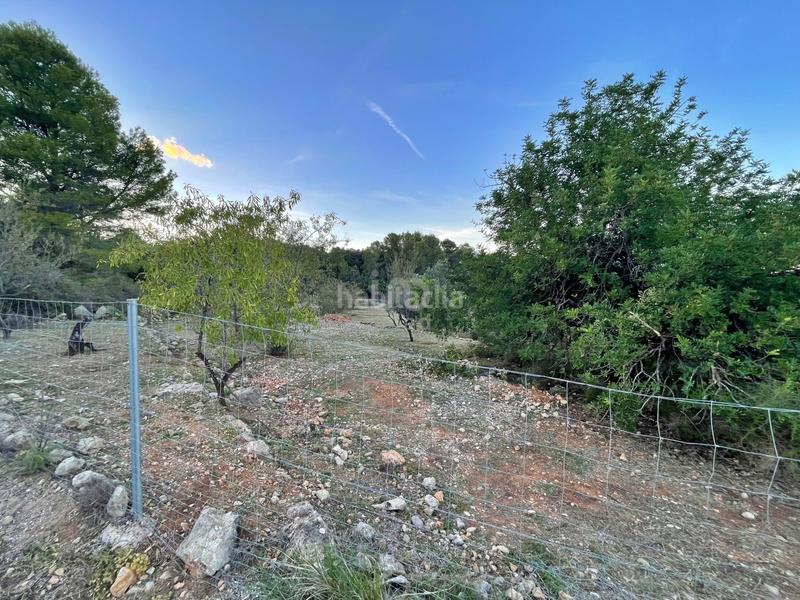 Foto 4e3fd4df-efd3-41ac-aadd-b1a4ea5a3e75. Terreny residencial a Murla Foto 4e3fd4df-efd3-41ac-aadd-b1a4ea5a3e75. Terreny residencial a Murla