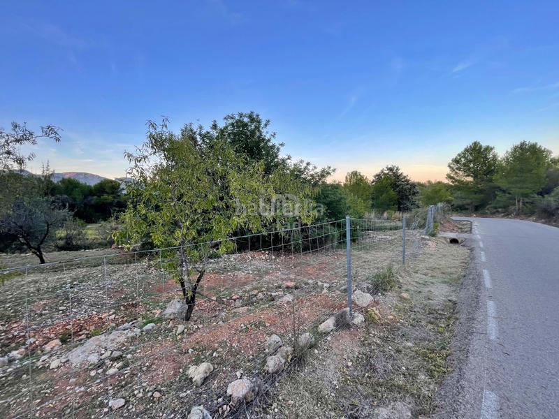 Foto 58780522-a4c8-4843-b56f-f65528ece527. Terreny residencial a Murla Foto 58780522-a4c8-4843-b56f-f65528ece527. Terreny residencial a Murla