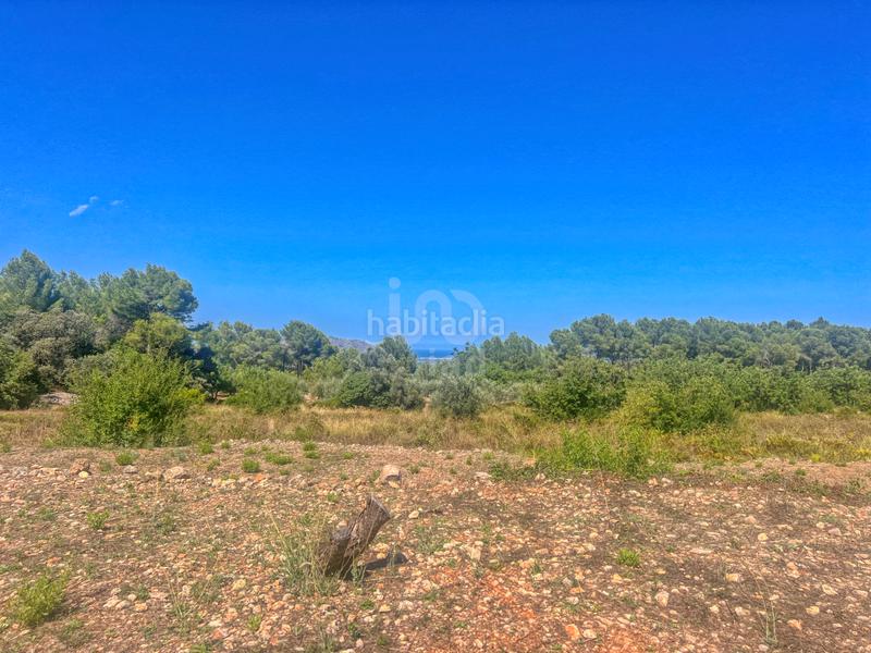 Foto c729fd37-1775-43a0-9826-5add637d72e7. Terreny residencial a Murla Foto c729fd37-1775-43a0-9826-5add637d72e7. Terreny residencial a Murla