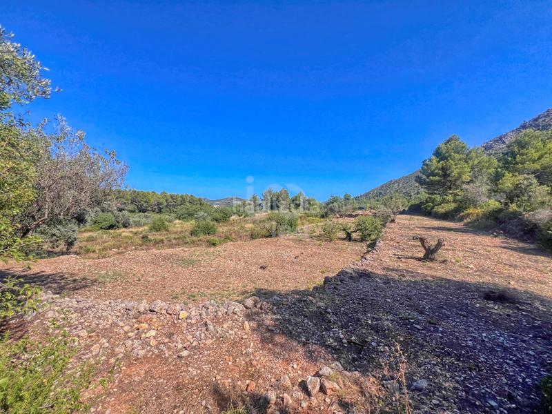 Foto d032b9b4-f9fb-4f48-a7fd-35019d5a69c9. Terreny residencial a Murla Foto d032b9b4-f9fb-4f48-a7fd-35019d5a69c9. Terreny residencial a Murla