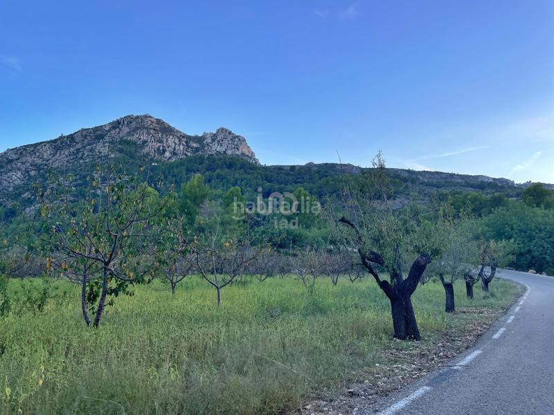 Foto ddfcb97d-ac57-43cf-9bb1-60bf64169980. Terreny residencial a Murla Foto ddfcb97d-ac57-43cf-9bb1-60bf64169980. Terreny residencial a Murla