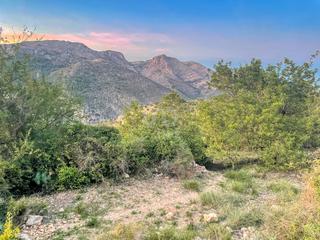 Residential Plot in Vall de Laguart Residential Plot in Vall de Laguart
