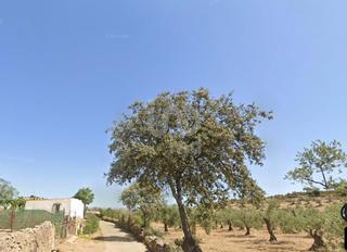Residential Plot in Valverde de Llerena Residential Plot in Valverde de Llerena