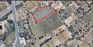 Residential Plot in Migjorn Residential Plot in Migjorn